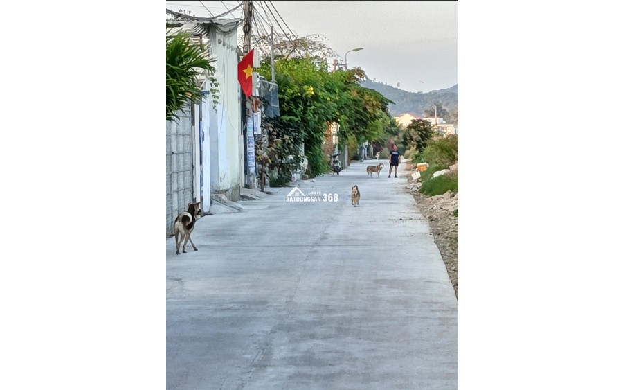 Bán 2 căn nhà vườn, phố Lương Định Của, chợ chiều Vĩnh Ngọc, Phường Tây Nha Trang